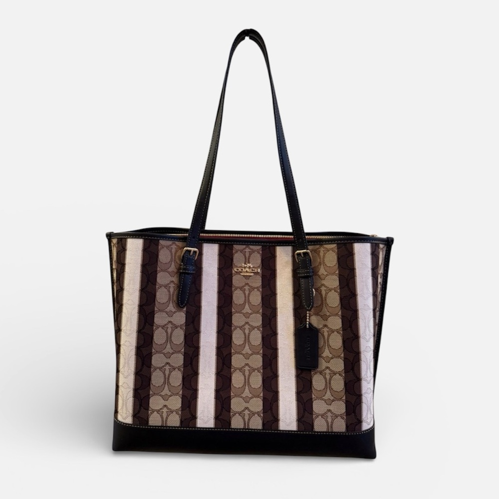 Like New COACH | C4088 Mollie Tote in Signature Jacquard Stripe
